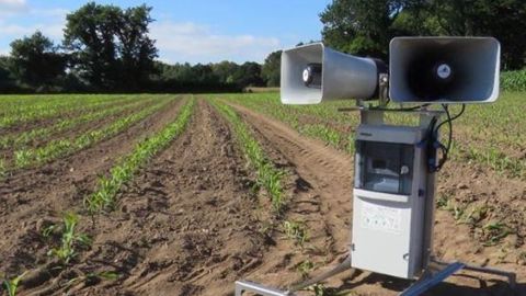 L'effaroucheur à oiseaux AviTrac 18S protège une surface de quatre hectares. (©AgriProTech) L'effaroucheur à oiseaux AviTrac 18S protège une surface de quatre hectares. (©AgriProTech)