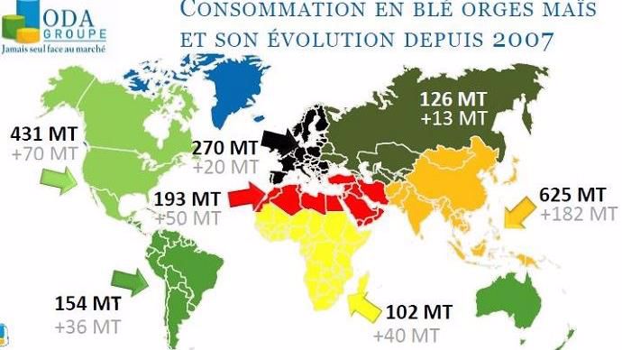 Consommation de céréales par continent