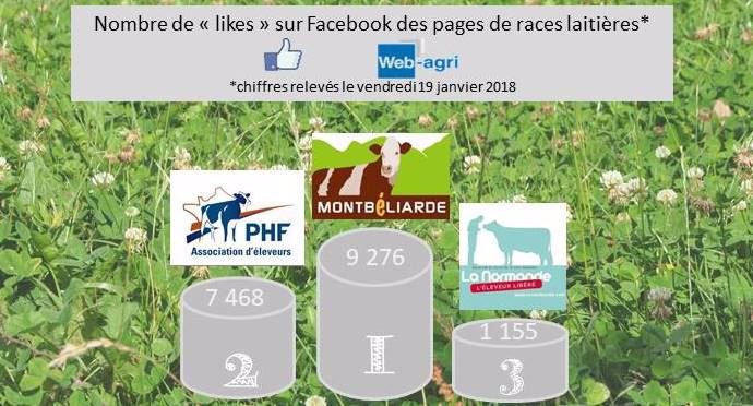 La page Facebook de la race Montbéliarde est en tête devant Prim'holstein France et la Normande.