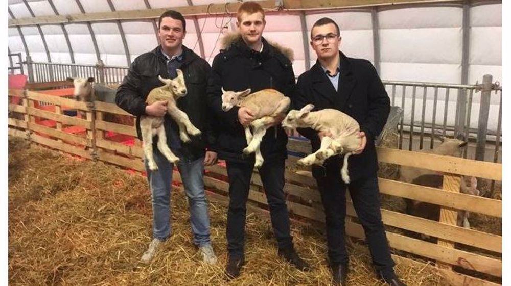 Maxime Banquart, Vincent Smessaert et Tanguy Delfolie (de gauche à droite sur la photo) sont étudiants en BTS production animale à l’institut de Genech. Aux côtés de Marc Leroy, responsable de la ferme de leur école, ils accompagnent les organisatrices des Ovinpiades Hauts-de-France 2018 Jocelyne Machefer du GIE lait viande Nord Picardie et Bertille Eridan de la chambre d’agriculture du Pas-de-Calais. (©DR)