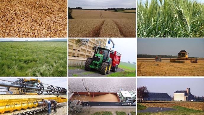 Poursuivre la stratégie à l'export, mais en misant sur une 