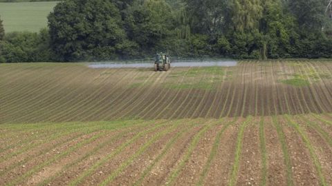 Syngenta annonce une persistance d'action augmentée pour Calaris, son nouvel herbicide. (©Watier-visuel)