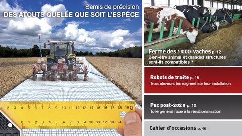 <a href="https://www.terre-net.fr/magazine#utm_campaign=TNMagazine&utm_source=Colonne-droite&utm_medium=BMK" target="_blank">Lire Terre-net Magazine en ligne ICI.</a> (©Fotolia, Watier-Visuel, Terre-net Média // Création Caroline Carpentier) <a href="https://www.terre-net.fr/magazine#utm_campaign=TNMagazine&utm_source=Colonne-droite&utm_medium=BMK" target="_blank">Lire Terre-net Magazine en ligne ICI.</a> (©Fotolia, Watier-Visuel, Terre-net Média // Création Caroline Carpentier)