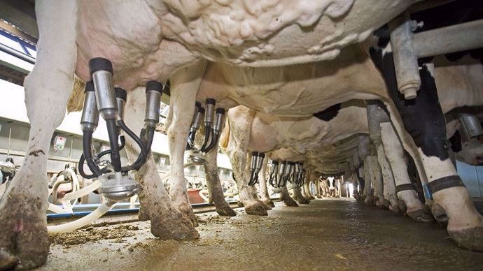 Le plan de filière laitière ne se donne pas d'objectifs de production, mais vise à améliorer la qualité, tant des produits laitiers que des relations entre les acteurs de la chaîne de valeur.