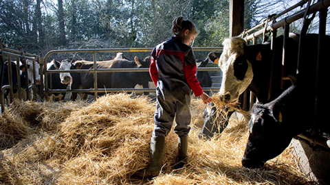Avec la nouvelle hypothèse de travail, ce sont 60 000 agriculteurs qui pourraient bénéficier de l'ICHN. (©Xavier Remongin / Min.Agri.Fr)