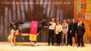 La grande championne Holstein du Sia 2018 : Stel Jefa (© <a href="https://www.facebook.com/primholsteinfrance/" target="_blank">Page Facebook Prim'holstein France </a>) La grande championne Holstein du Sia 2018 : Stel Jefa (© <a href="https://www.facebook.com/primholsteinfrance/" target="_blank">Page Facebook Prim'holstein France </a>)