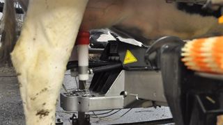 Un sondage révèle que même s'ils en avaient la possibilité, 60 % des éleveurs ne remplaceraient pas leur salle de traite par un robot. (©Terre-net Média) Un sondage révèle que même s'ils en avaient la possibilité, 60 % des éleveurs ne remplaceraient pas leur salle de traite par un robot. (©Terre-net Média)