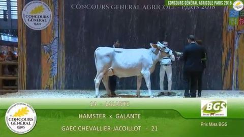 Lalante, la championne brune du Sia 2018. (©Sia 2018) 