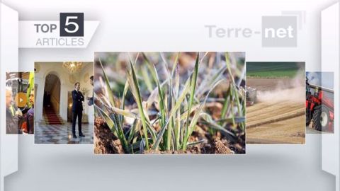 Top articles de Terre-net cette semaine (©Terre-net Média)