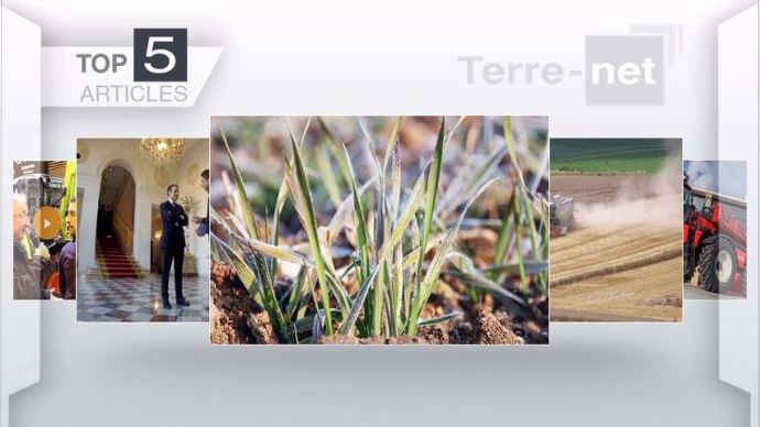 Top articles de Terre-net cette semaine
