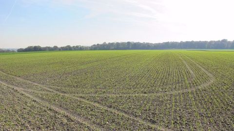 L'objectif de cette journée mêlant synthèse des expérimentations réalisées et interventions d’experts, est de proposer aux agriculteurs des pistes de réflexion innovantes. Pour cette 8e édition de l’Agroforum, la coopérative a témoigné de ses expérimentations concernant la fertilisation localisée du blé depuis 2014. (©Terre-net Médi