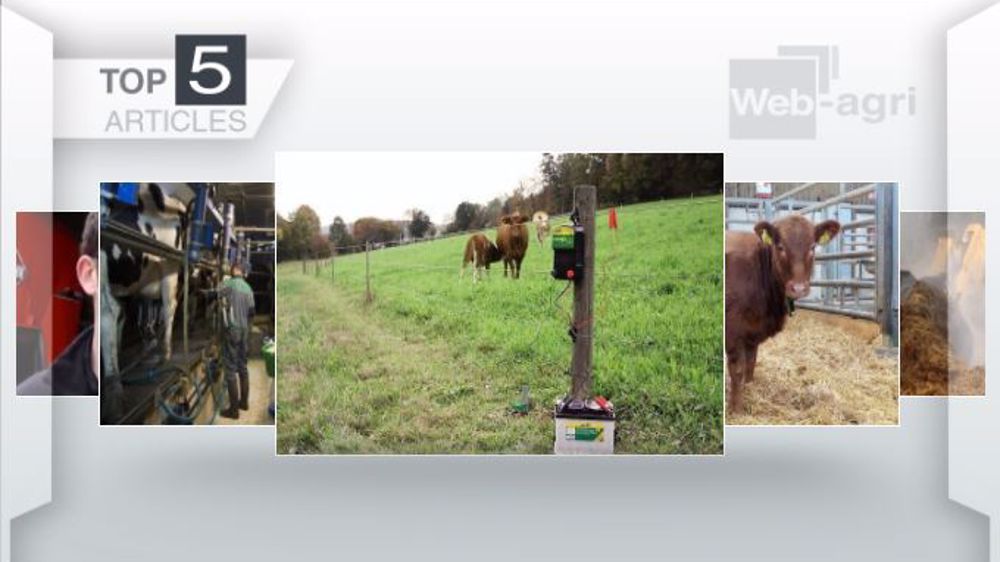Les cinq articles les plus lus sur Web-agri cette semaine. (©Terre-net Média)