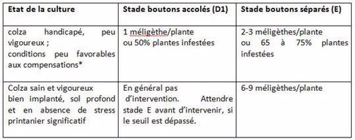 Seuil de nuisibilité face aux méligèthes en fonction de l'état du colza
