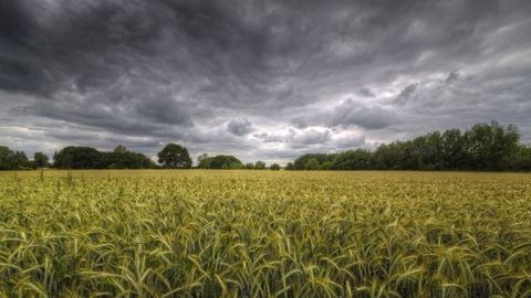 Les sécheresses, inondations ou fortes variations du thermomètre pourraient s'intensifier dans les prochaines années selon Serge Planton, de Météo-France. (©Maldesowhat/Fotolia) Les sécheresses, inondations ou fortes variations du thermomètre pourraient s'intensifier dans les prochaines années selon Serge Planton, de Météo-France. (©Maldesowhat/Fotolia)