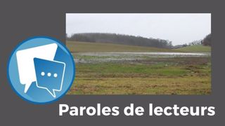 « Ce n'est pas facile de lâcher les animaux puis de devoir les enfermer à nouveau. Ils ne comprennent pas ! », s'exclame Patrice Brachet. (©Terre-net Média) « Ce n'est pas facile de lâcher les animaux puis de devoir les enfermer à nouveau. Ils ne comprennent pas ! », s'exclame Patrice Brachet. (©Terre-net Média)