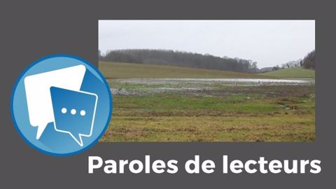 « Ce n'est pas facile de lâcher les animaux puis de devoir les enfermer à nouveau. Ils ne comprennent pas ! », s'exclame Patrice Brachet. (©Terre-net Média) « Ce n'est pas facile de lâcher les animaux puis de devoir les enfermer à nouveau. Ils ne comprennent pas ! », s'exclame Patrice Brachet. (©Terre-net Média)