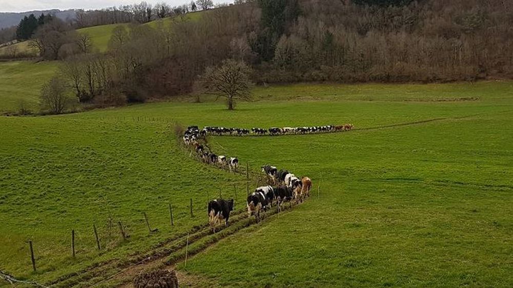Sans stabilisation, le chemin d'accès au pâturage risque de se détériorer au fil du temps. (©Franck Jaulhac)