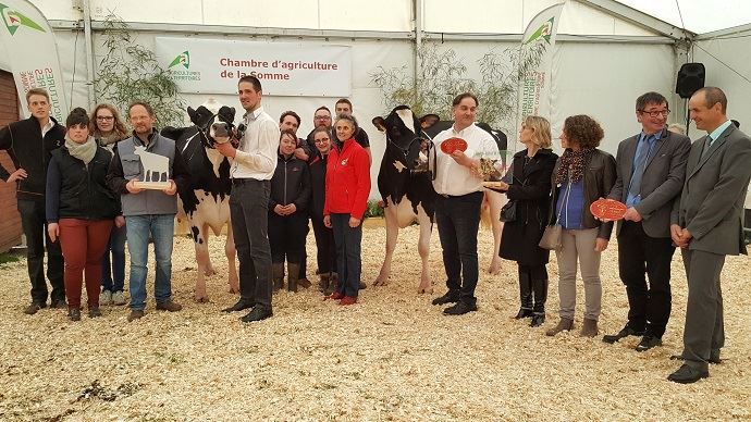 Jade, grande championne du concours départemental Prim'holstein de Montdidier (80)