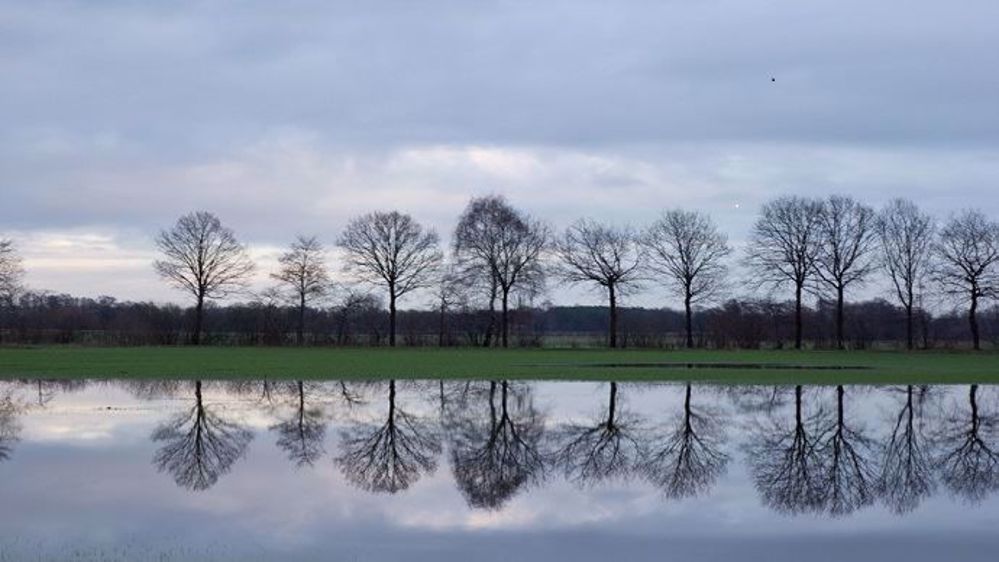 La pluie a retardé le travail dans les champs en mars 2018. (©Martin.P/Fotolia)