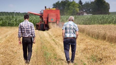 En 2015, les « non salariés agricoles » touchaient en moyenne 730 euros pour une carrière complète, contre 1 800 euros pour l'ensemble des Français, selon le Conseil d'orientation des retraites. (©Budimir Jevtic/Fotolia)