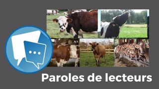 « On ne va quand même pas changer toutes les Holsteins en Normandes, Montbéliardes, Jersiaises ou encore Brunes », s'exclame Claudie. « Chacun fait comme il veut et surtout comme il peut », nuance de son côté Titian. (©Terre-net Média, BGS // Création Terre-net Média) « On ne va quand même pas changer toutes les Holsteins en Normandes, Montbéliardes, Jersiaises ou encore Brunes », s'exclame Claudie. « Chacun fait comme il veut et surtout comme il peut », nuance de son côté Titian. (©Terre-net Média, BGS // Création Terre-net Média)