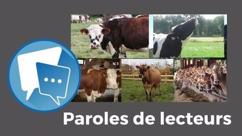 « On ne va quand même pas changer toutes les Holsteins en Normandes, Montbéliardes, Jersiaises ou encore Brunes », s'exclame Claudie. « Chacun fait comme il veut et surtout comme il peut », nuance de son côté Titian. (©Terre-net Média, BGS // Création Terre-net Média) « On ne va quand même pas changer toutes les Holsteins en Normandes, Montbéliardes, Jersiaises ou encore Brunes », s'exclame Claudie. « Chacun fait comme il veut et surtout comme il peut », nuance de son côté Titian. (©Terre-net Média, BGS // Création Terre-net Média)