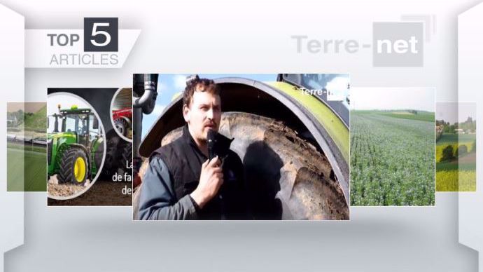 Top articles Terre-net