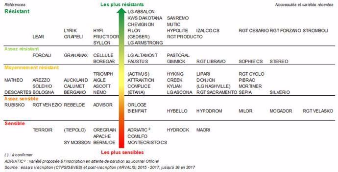 Résistances des variétés de blé tendre à la septoriose (Septoria tritici)