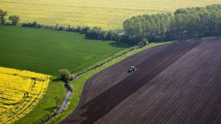 Le prix des terres en France se situe plutôt dans la fourchette basse en Europe. (©Watier Visuel) Le prix des terres en France se situe plutôt dans la fourchette basse en Europe. (©Watier Visuel)