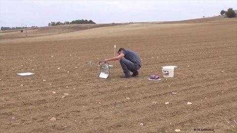 Pour une lutte efficace contre les limaces, une estimation du risque est importante et rendue possible avec le piégeage. (©De Sangosse)