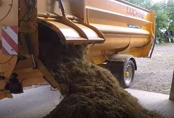 Préparation du mash fibreux spécial veaux