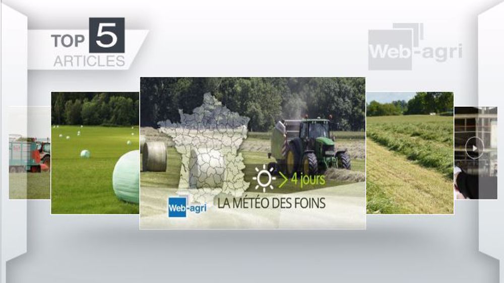 Articles les plus lus sur Web-agri cette semaine. (©Terre-net Média)
