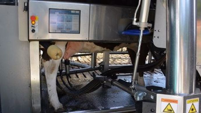 robot de traite