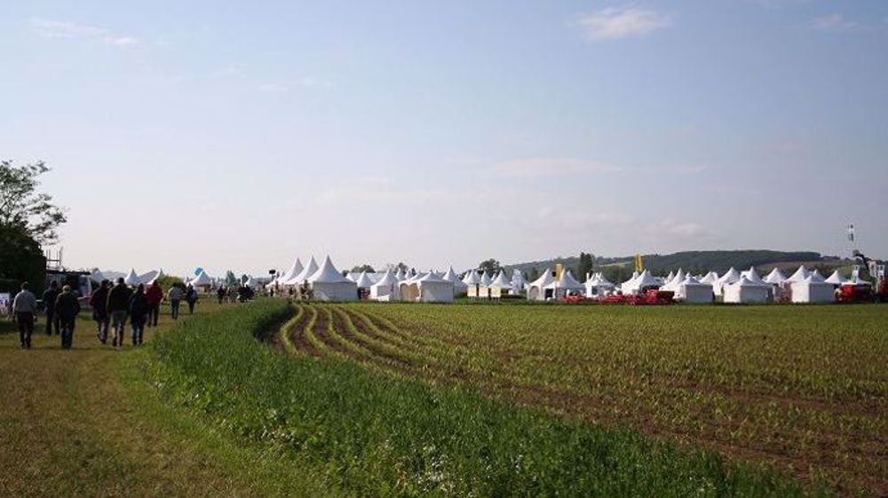 Cette année, les Culturales ont lieu à l'Isle-Jourdain (32).  (©Terre-net Média)