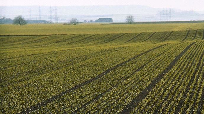 Le désherbage d’automne, une étape stratégique pour le bon démarrage des cultures. 