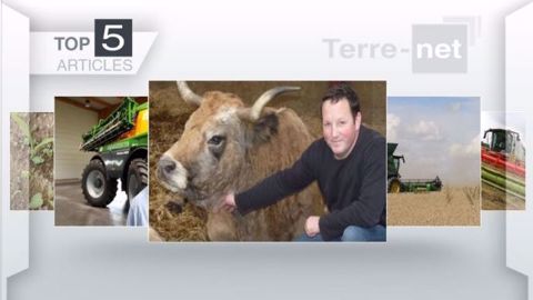 Top articles de Terre-net cette semaine (©Terre-net Média)