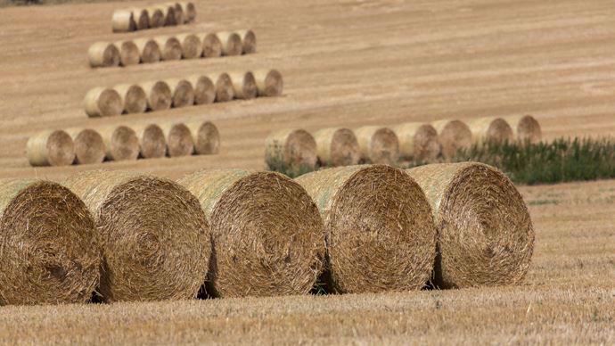 Jusqu’à 1 tonne de plus par hectare 