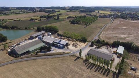La luzerne bio représentait en 2017 plus de 60 % des surfaces de la coopérative de déshydratation Grasasa (©Coop de France déshydratation) La luzerne bio représentait en 2017 plus de 60 % des surfaces de la coopérative de déshydratation Grasasa (©Coop de France déshydratation)