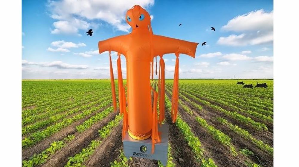 L'épouvantail gonflable RDefender se gonfle et se dégonfle automatiquement pour éloigner les oiseaux des cultures (©Ratdown)