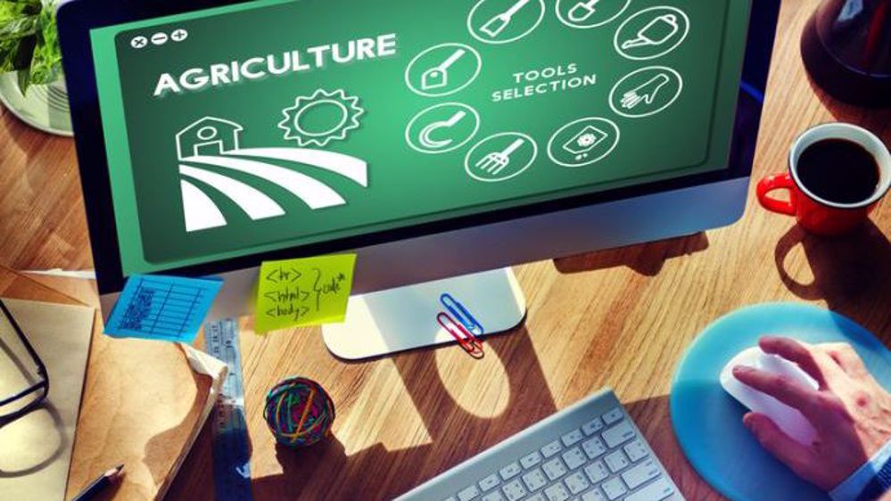 Vous avez une expérience commerciale réussie dans le milieu agricole : vous êtes doté(e) à la fois d'une bonne capacité d’analyse, de compréhension du besoin.... Alors le poste de consultant (e) coopératives et négoces peut vous intéresser. (©Rawpixel.com/Fotolia)