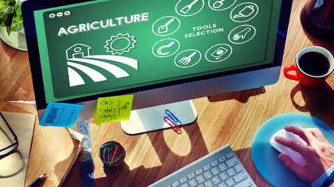 Vous avez une expérience commerciale réussie dans le milieu agricole : vous êtes doté(e) à la fois d'une bonne capacité d’analyse, de compréhension du besoin.... Alors le poste de consultant (e) coopératives et négoces peut vous intéresser. (©Rawpixel.com/Fotolia)