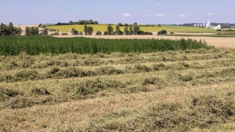 Retrouvez tous les prix du foncier agricole 2017 en Bourgogne-Franche-Comté. (©Watier visuel) 