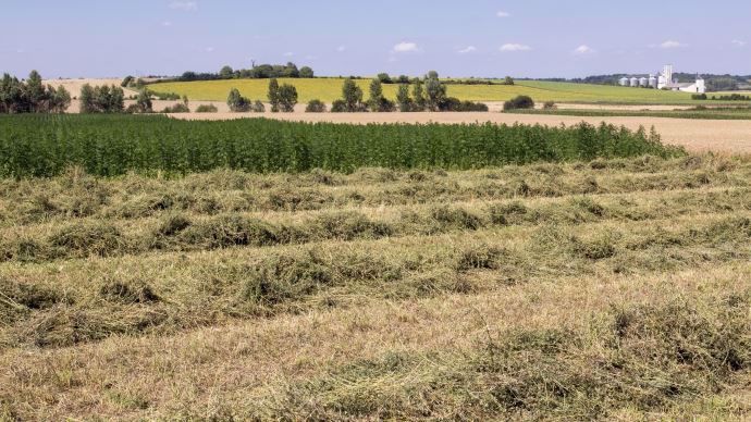 Retrouvez tous les prix du foncier agricole 2015 en Bourgogne-Franche-Comté.