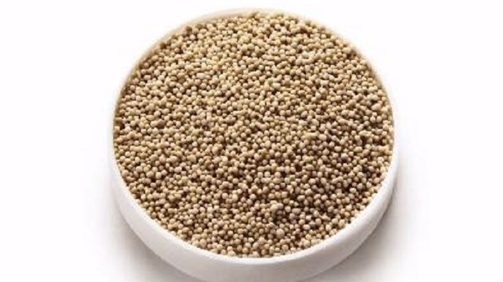 Lallemand animal nutrition présente son probiotique à destination des volailles : Levucell SB (©Lallemand animal nutrition)