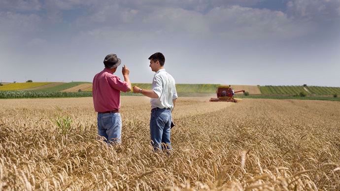Agriculteurs dans un champ