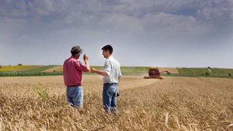  Différentes solutions permettent aux agriculteurs de recruter une main d'œuvre ponctuelle comme le Tesa ou le prêt de salarié. (©Fotolia/Budimir Jetvic)