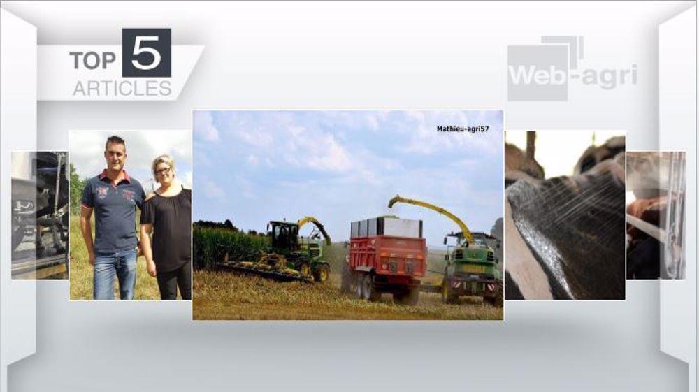 Les cinq articles les plus lus sur Web-agri cette semaine. (©Terre-net Média)