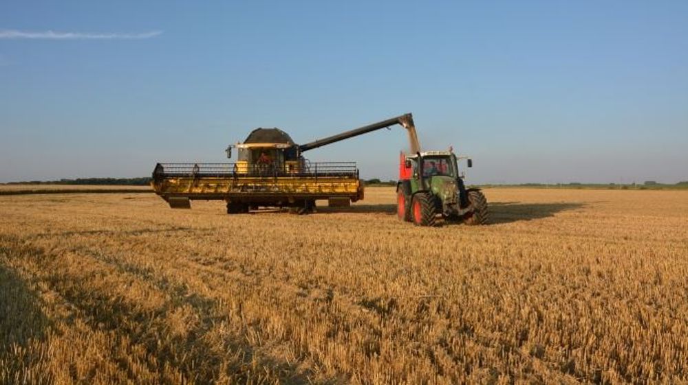 Les rendements 2018 de blé chez les éleveurs : plus de la moitié d'entre eux font plus de 60 q/ha. (©Terre-net Média)