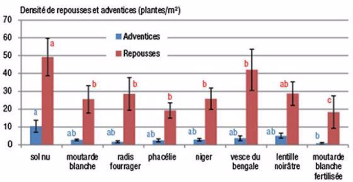 Densité des adventices et repousses (en plantes/m²) à l'interculture en fonction du type de couvert (suivis réalisés entre 2010 et 2012)