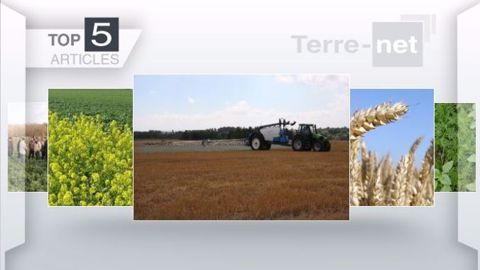 Les articles les plus lus sur Terre-net cette semaine. (©Terre-net Média)
